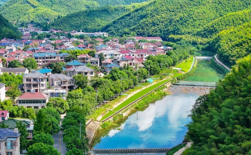 Huzhou Trees.jpg